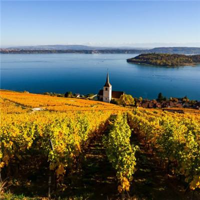 皇冠正规娱乐平台(官方)