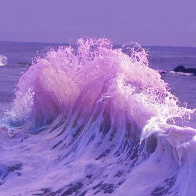 亚搏娱乐中心app下载