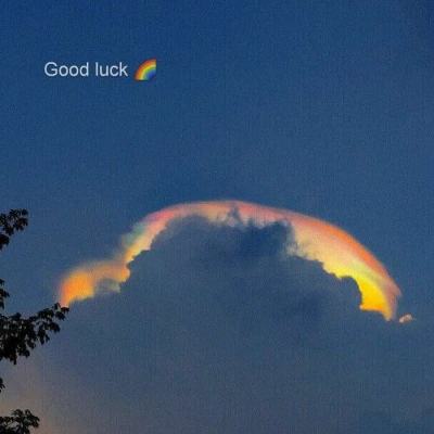 万博全站(Manbetx)官方网站